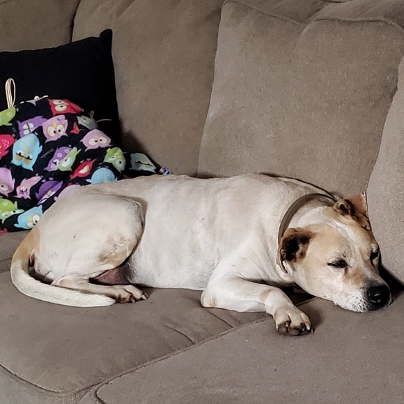 Meet your Posher, Krystal - Picture 3 of 3